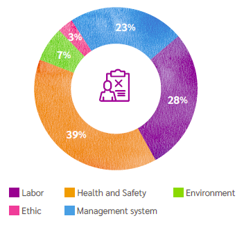 Distribution of Supplier Sustainability Audit Findings